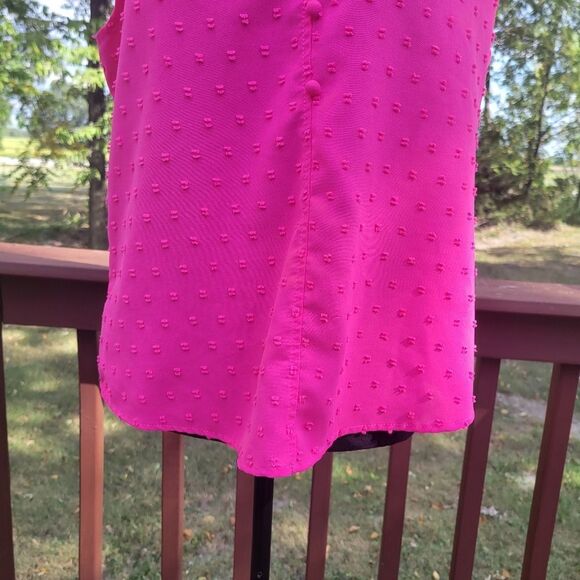 Women's Hot Pink Swiss Dot Lace V-Neck Short Sleeve Blouse Tops Size Large - Picture 4 of 15